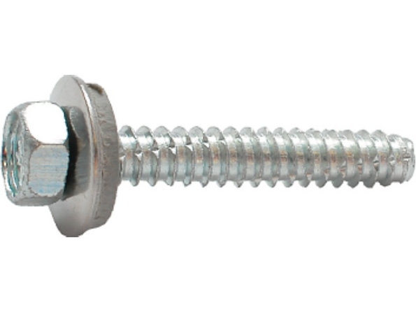 Afbeelding - FERZ3922-jpg